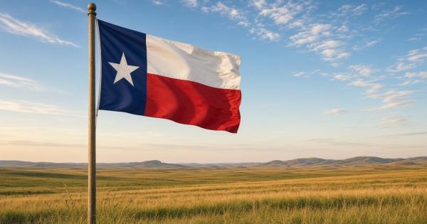 Texas Flag