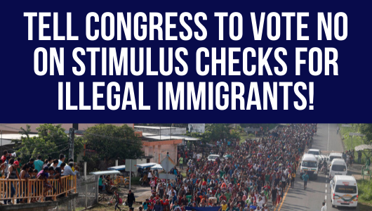 Tell Congress to Vote NO on Stimulus Checks for Illegal Immigrants! -- CLICK HERE